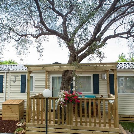 Camping Delfino Albenga Kültér fotó